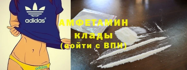 стафф Алзамай