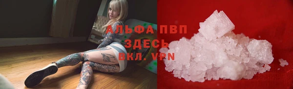 стафф Алзамай