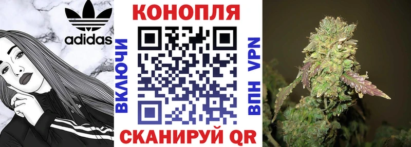 Шишки марихуана семена  Беслан 